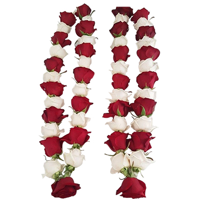 "Flower Garlands with Red and White Roses ( 2 Garlands) - Click here to View more details about this Product